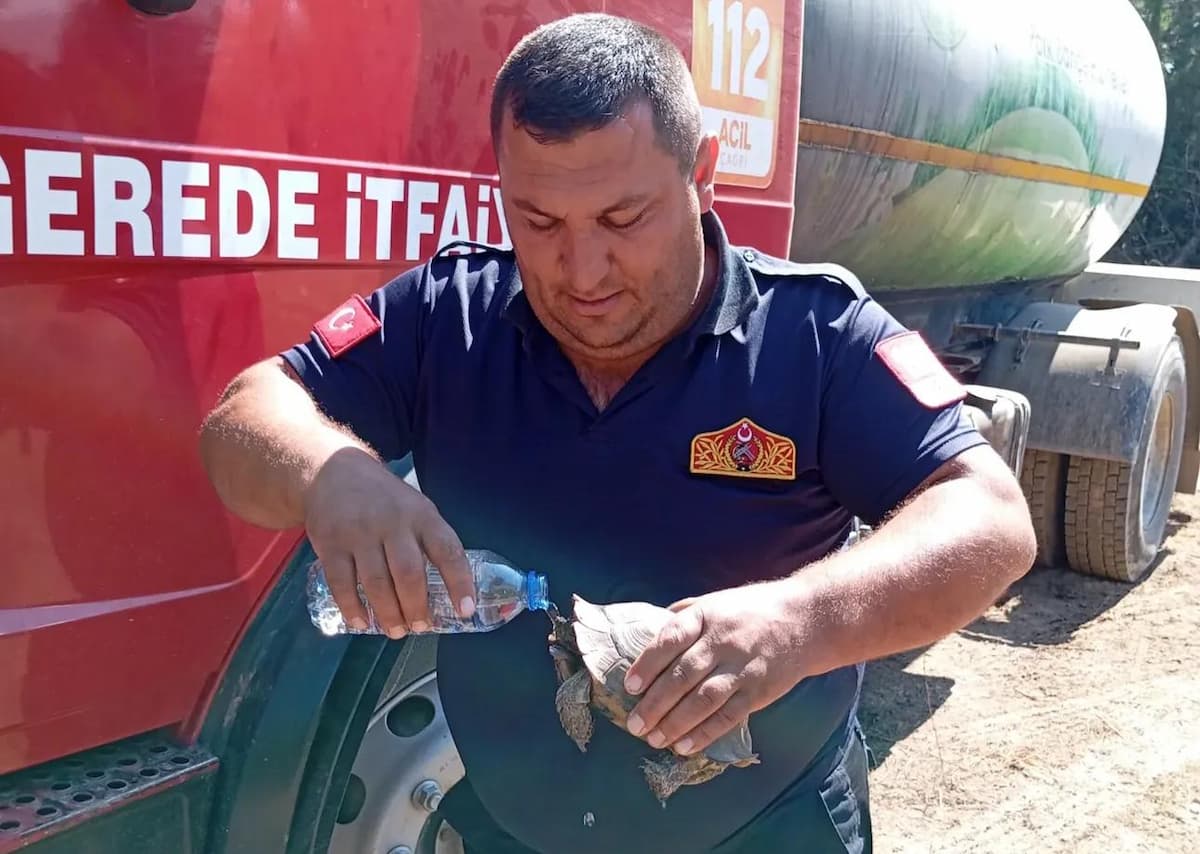 gerede itfaiye erkan kılıç
