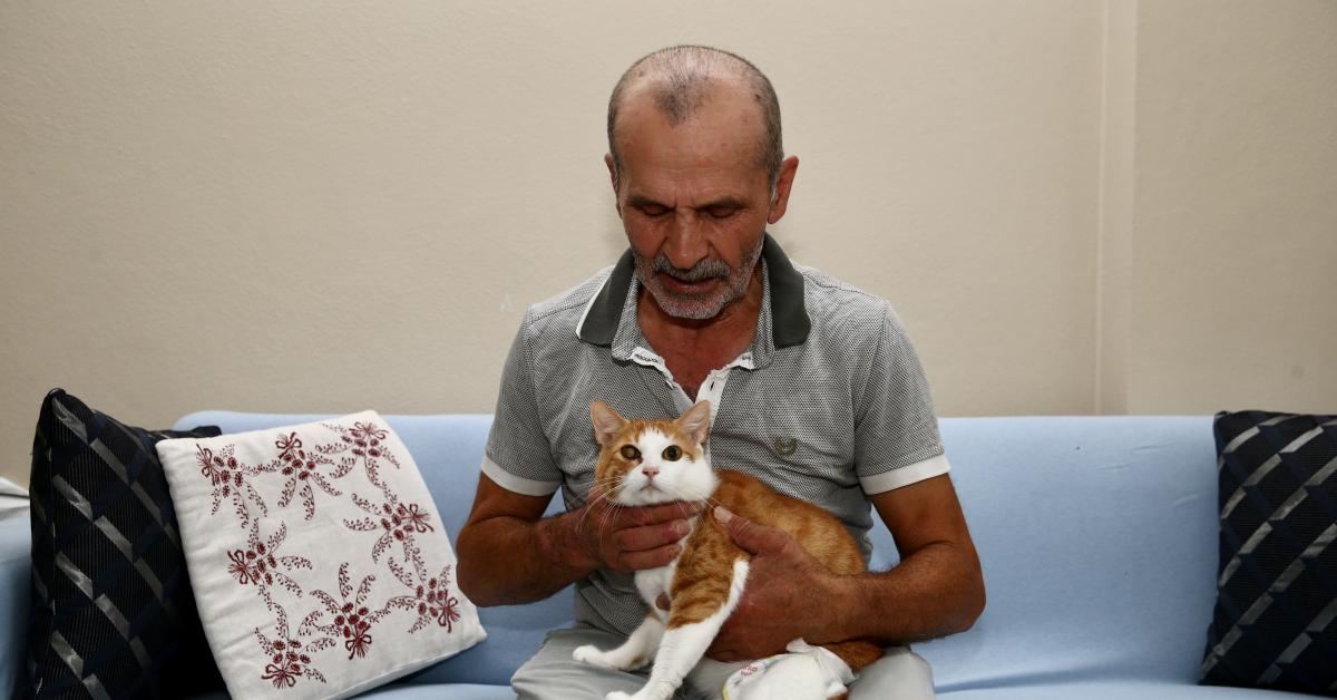 giresunda engelli kedilere boyle destek oluyor eqLJMz9q.jpg
