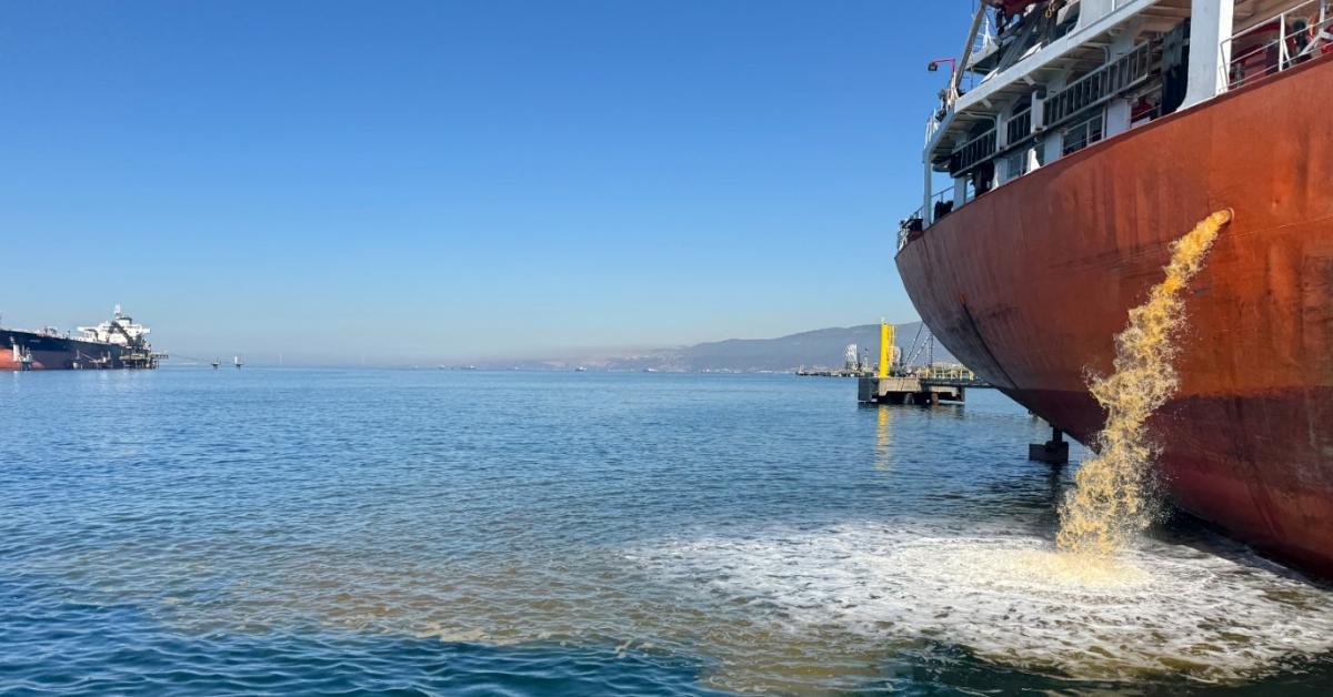 izmit korfezinde kirlilik denetimi 1CVP7cpv.jpg