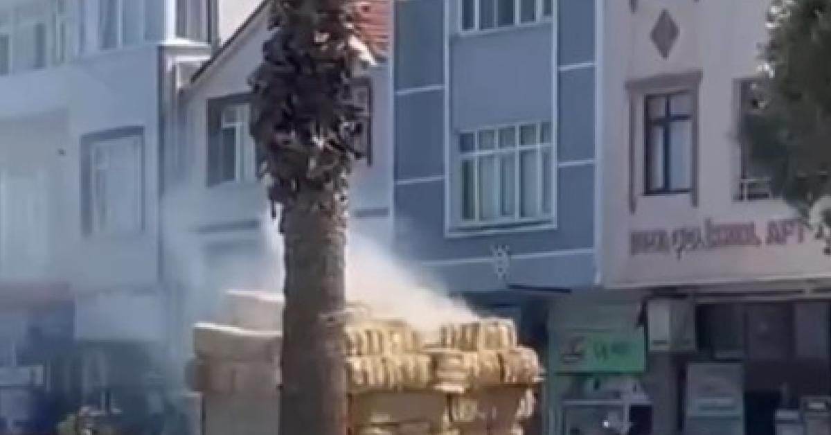 kastamonu catalzeytinde saman balyalari alev aldi 8G4IXhLJ.jpg