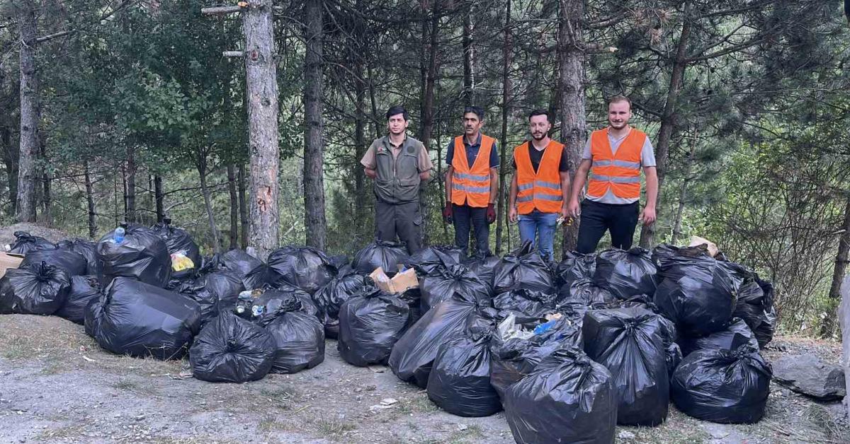 kastamonu tosyada ormanlik alan temizlend aqTmTcaz.jpg