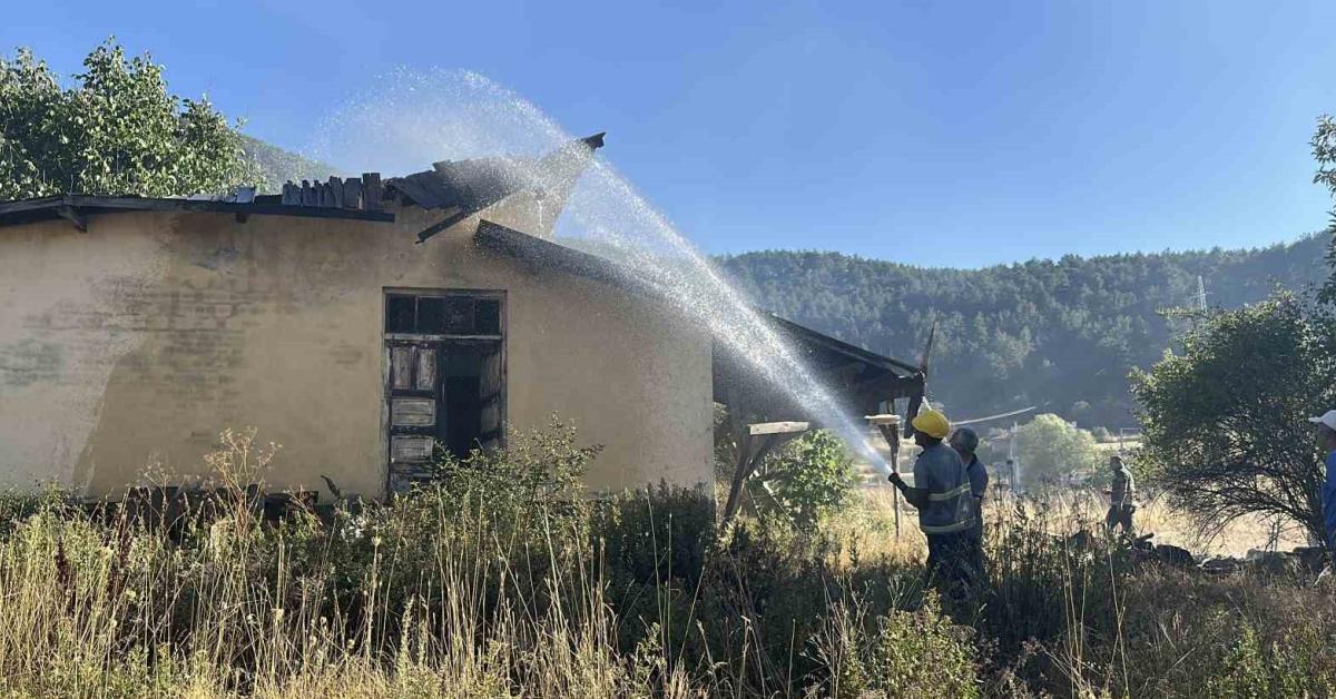 kastamonu tosyada yangin samanlik ve tarim arazisi zarar gordu zj4EI6lC.jpg