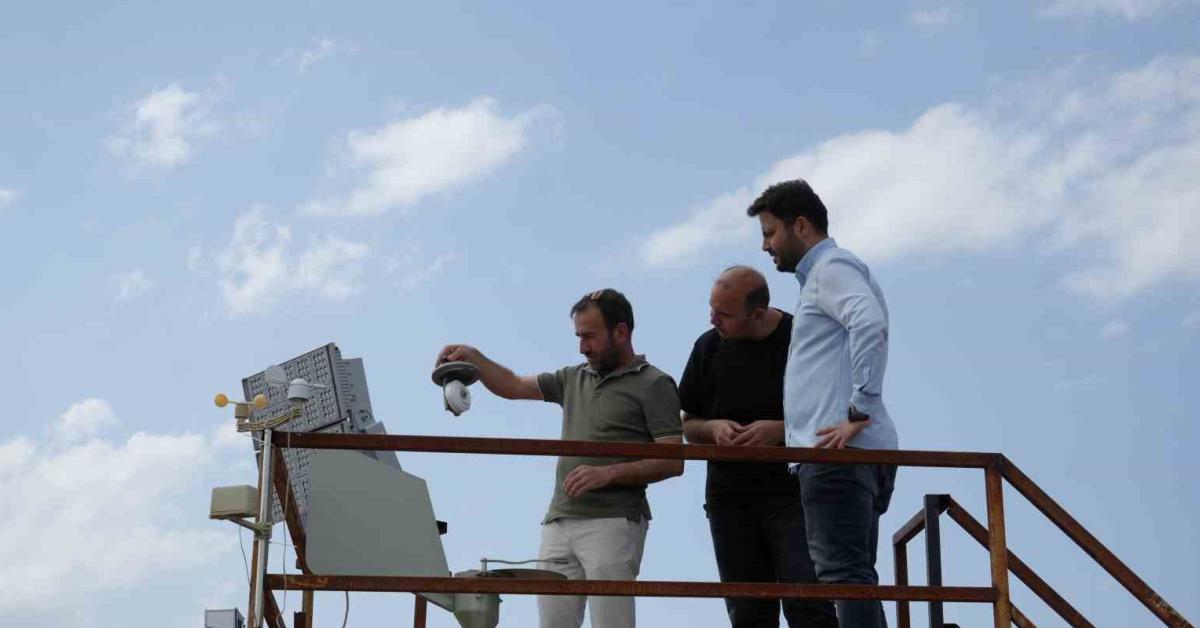 kastamonu universitesinden alerji ve astim hastalarina yonelik polen tespiti projesi 5vMmtXcV.jpg