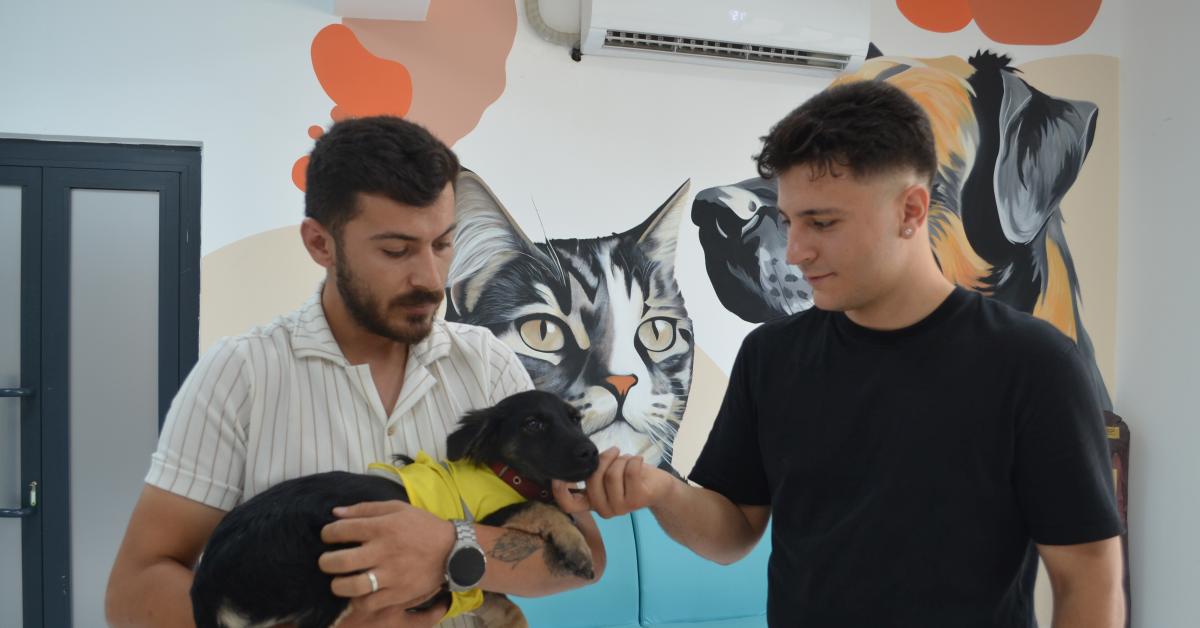 kocaeli cayirovada zifte saplanan yavru kopek yeni yuvasina kavustu 8pVjLSH1.jpg