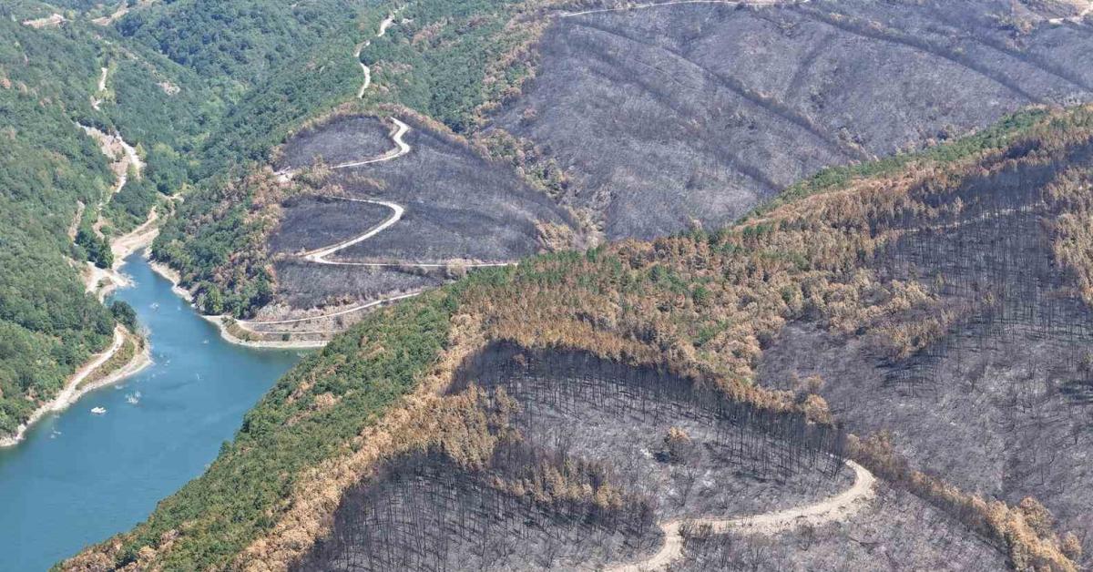 kocaeli karamurseldeki yanginin ardindan yurek burkan goruntuler E1bEtKRF.jpg