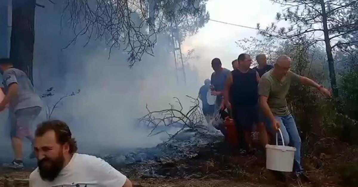 kocaelide orman yanginina mahalleli mudahale etti GEV8dmcv.jpg