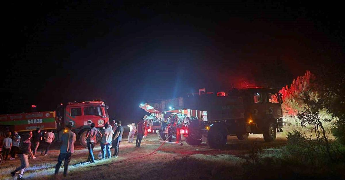 sakarya geyvede ormanlik alanda korkutan yangin wMKkil1s.jpg