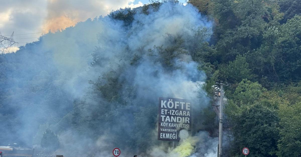 sakarya geyvede yol kenarinda yangin v6g97QY9.jpg
