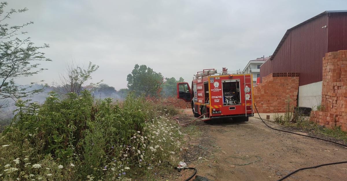 samsun carsambada sazlik alaninda yangin cikti nwRqS8jZ.jpg
