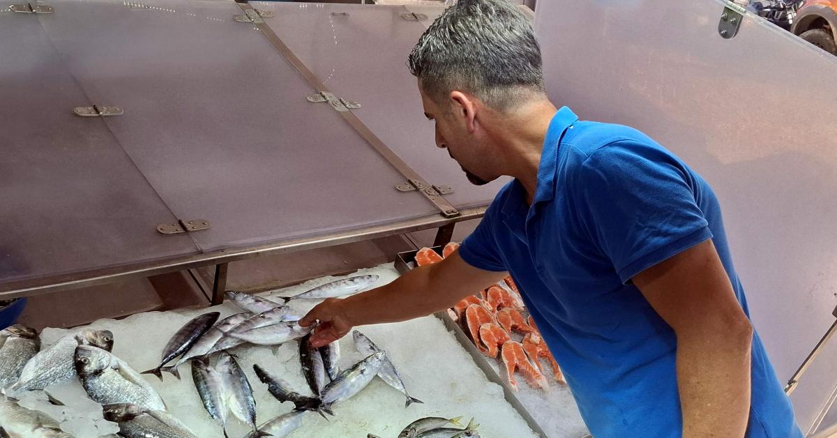 sinopta palamut avinda dusus ve hamsi umutlari UKpZ9sNh.jpg