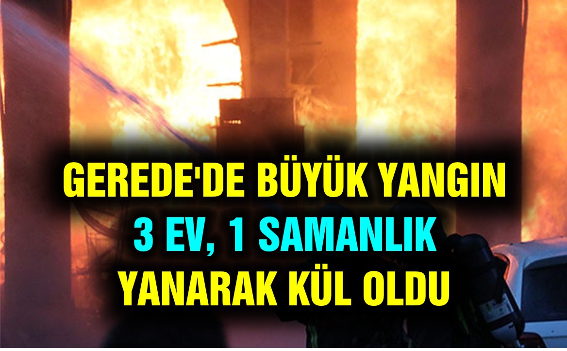 yangın koy