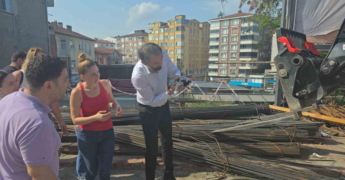 zonguldak ereglide sikisan zavalli kedi 2 saatte boyle kurtarildi iOqa2Ue2.jpg