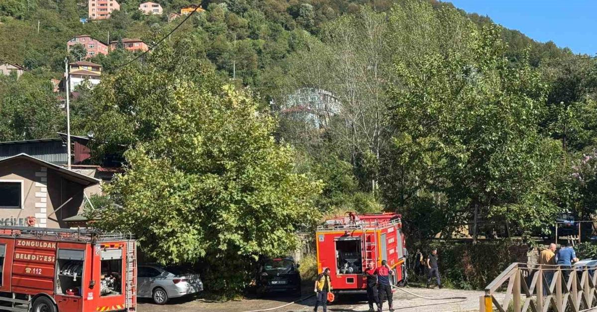 zonguldakta orman yangini kontrol altina alindi lZPTiE3v.jpg