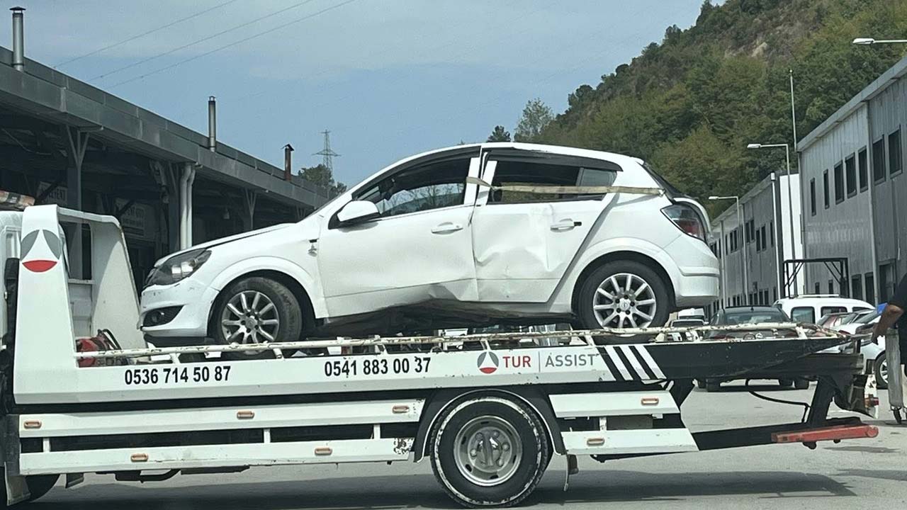 Arı Feci Kazaya Neden Oldu