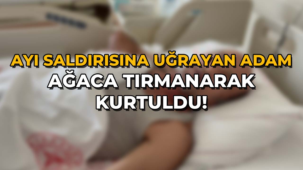 Ayı Saldırdı, O Anları Böyle Anlattı