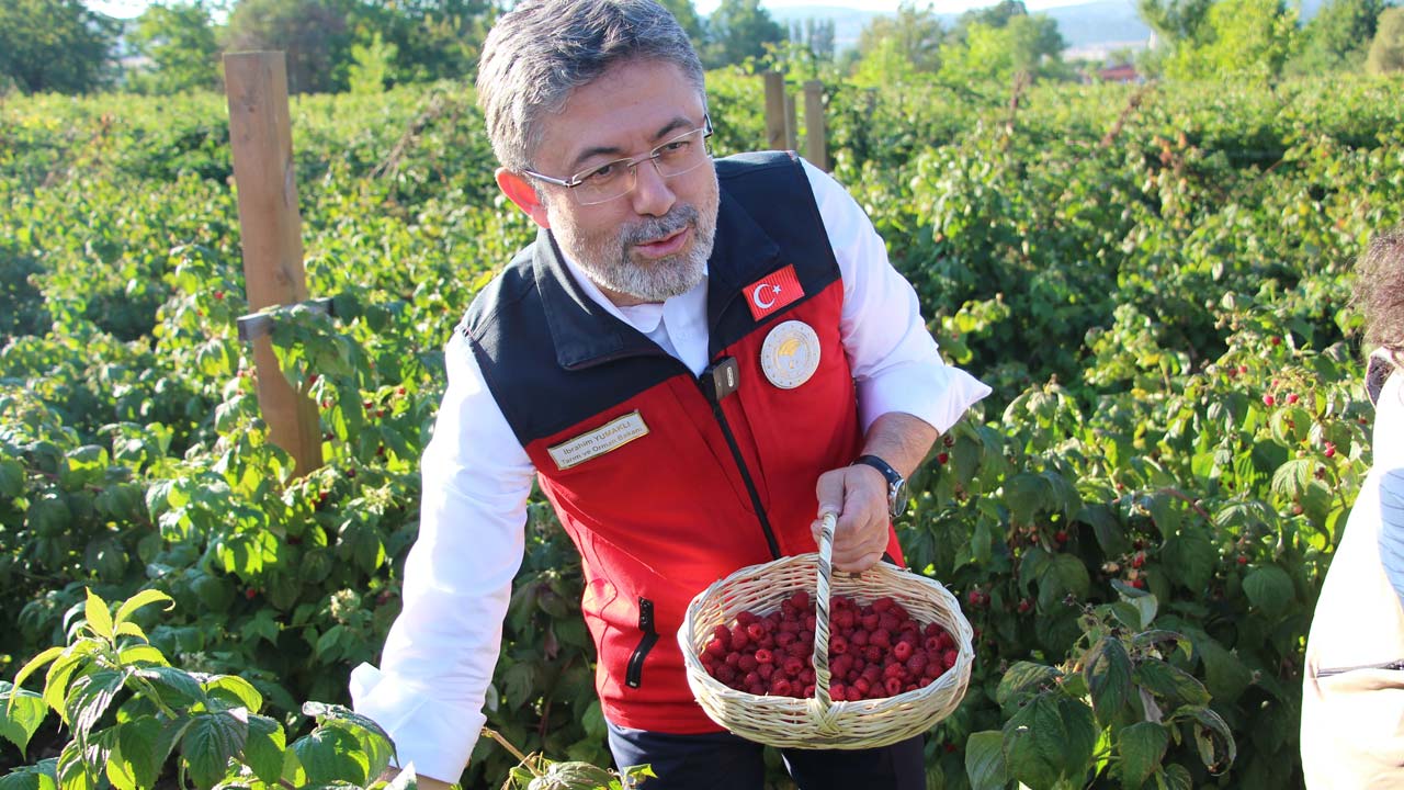 Bakan Bolu’da Tarlaya Girdi