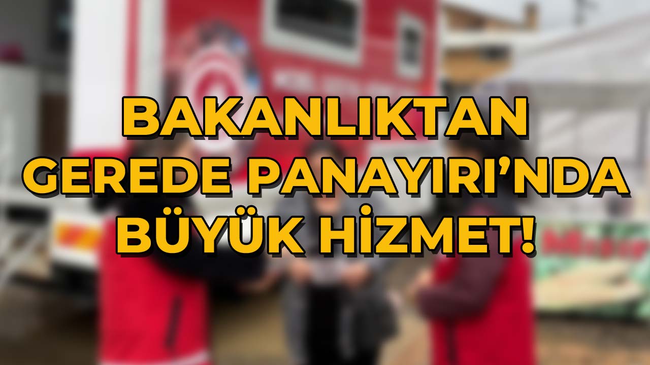 Bakanlıktan Gerede Panayırı'nda Büyük Hizmet2