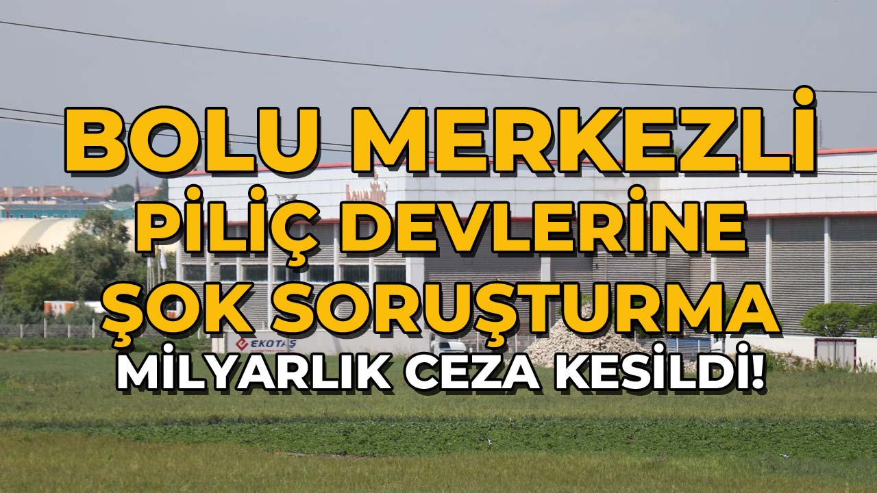 Bolu Merkezli Piliç Devlerine Şok Soruşturma