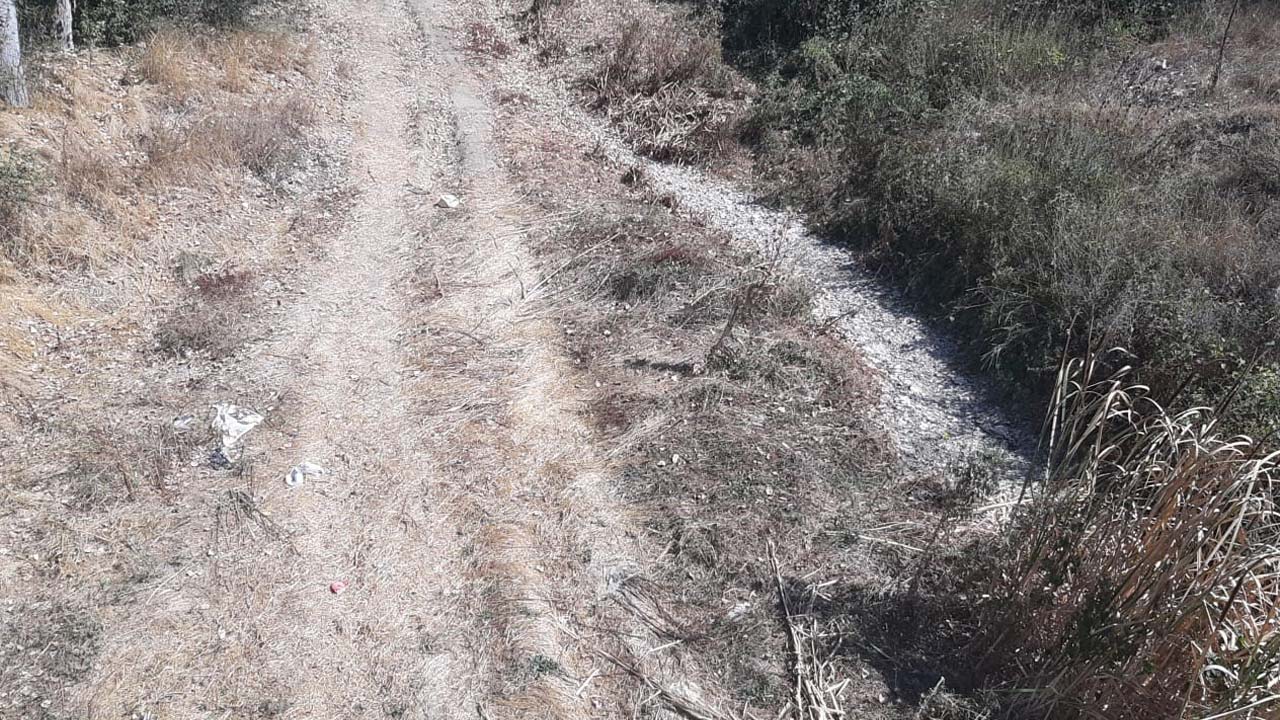 Bolu'da Asırlık Dereler Kurudu Halk Endişeli