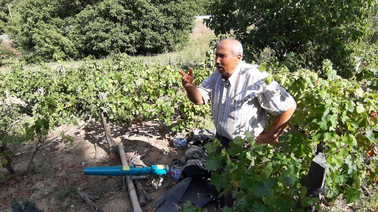 Bolu’da Ayı Dehşeti! Köylüler Korkudan