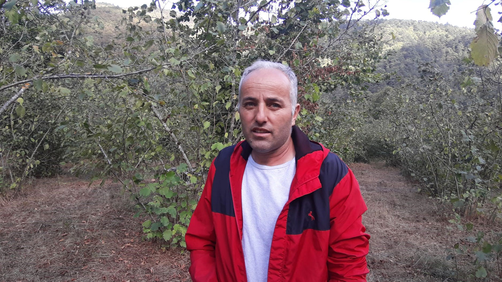 Bolu’da Ayı Dehşeti324