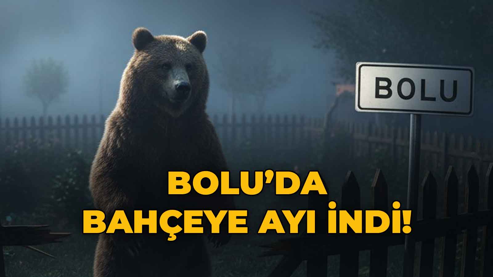 Bolu'da Bahçeye Ayı İndi! Arı Kovanlarına Saldırdı