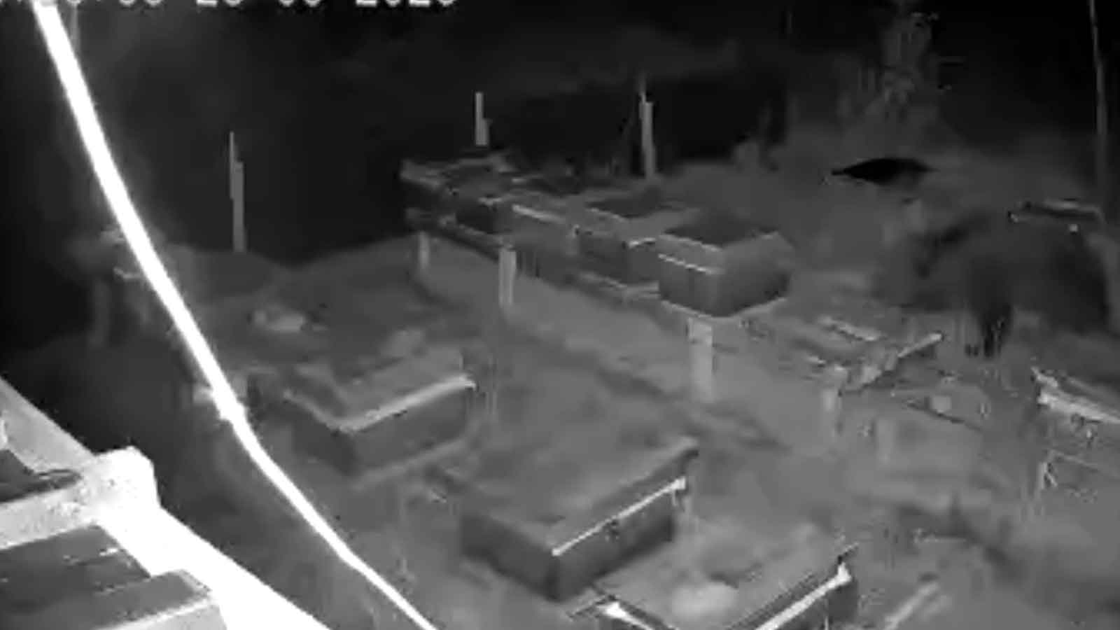 Bolu'da Bahçeye Ayı İndi33