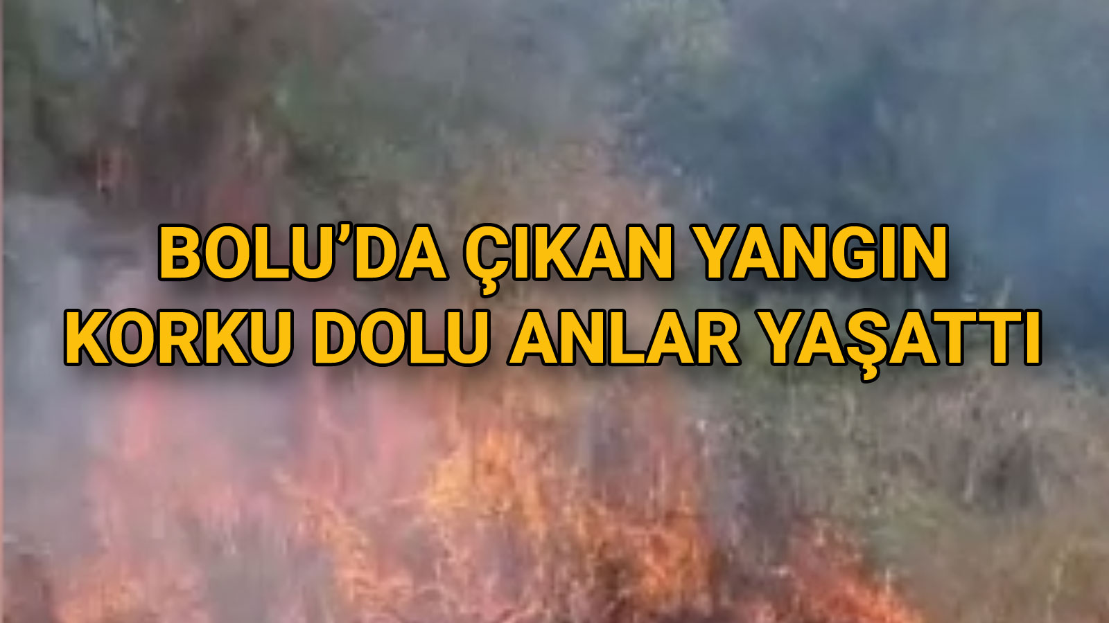 Bolu’da Çıkan Yangın Çevrede Korku Dolu Anlar Yaşattı!