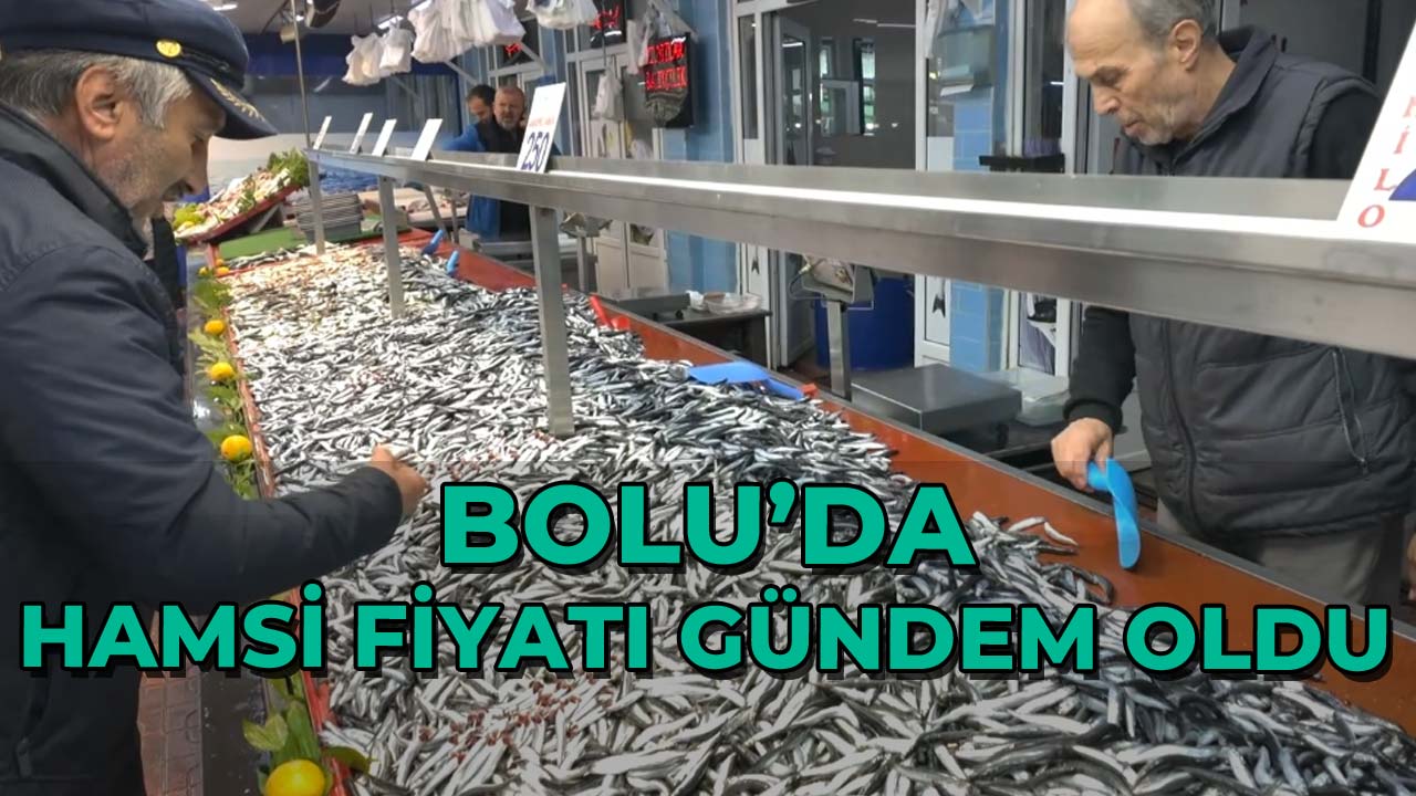 Bolu’da Hamsi Fiyatı Gündem Oldu!