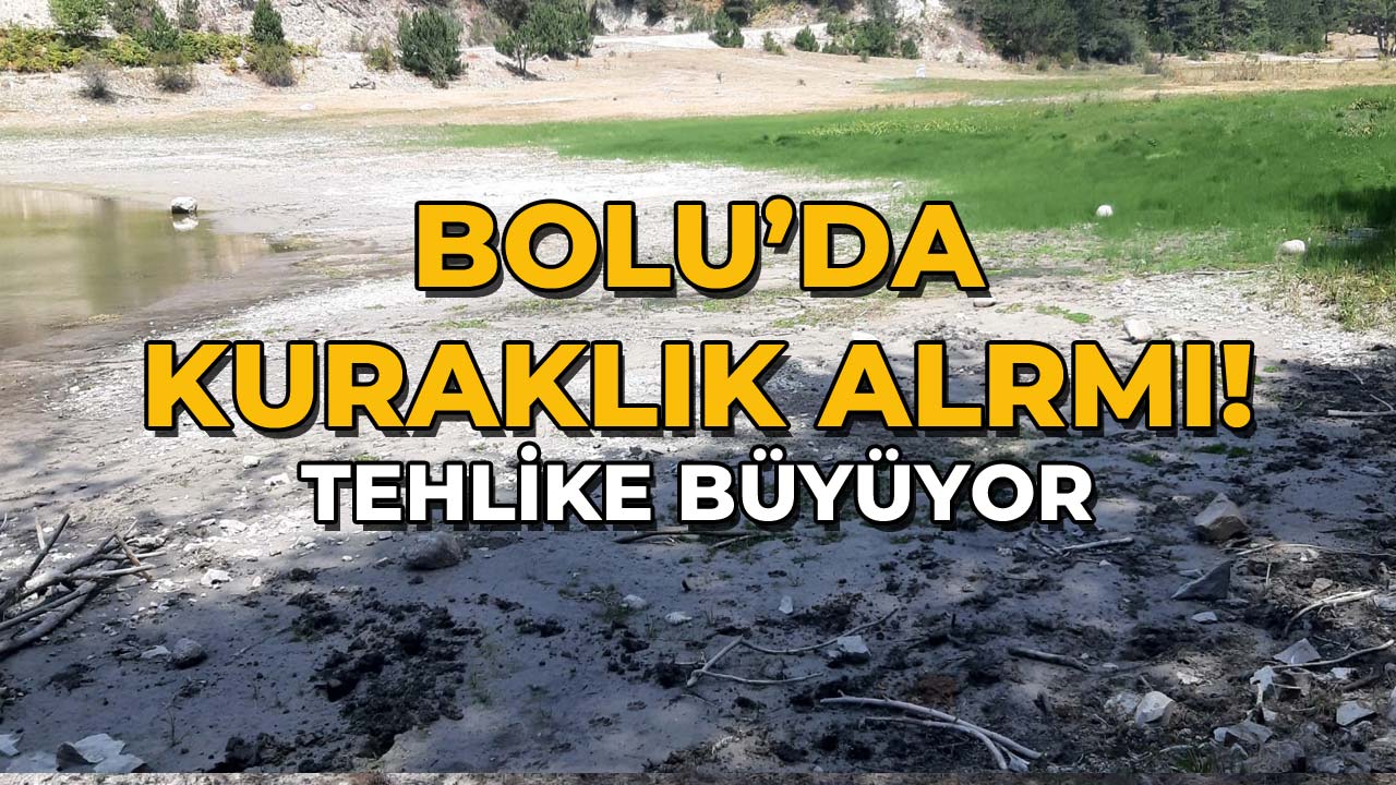 Bolu'da Kuraklık Alarmı Tehlike Büyüyor