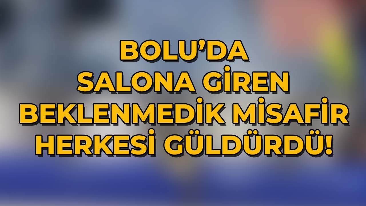 Bolu’da Salona Giren Beklenme2dik Misafir