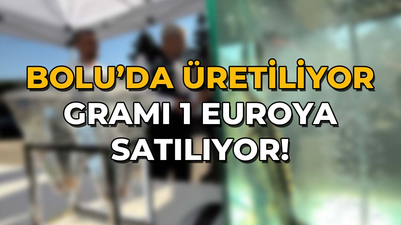 Bolu’da Üretiliyor, Gramı 1 Euroya Satılıyor