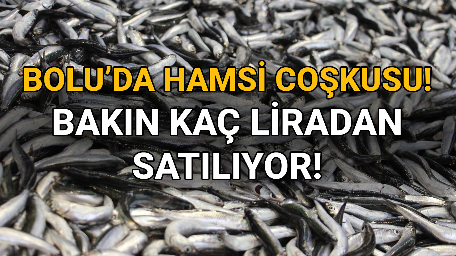 Bolu'da Vatandaşların Özlemle Beklediği Hamsi