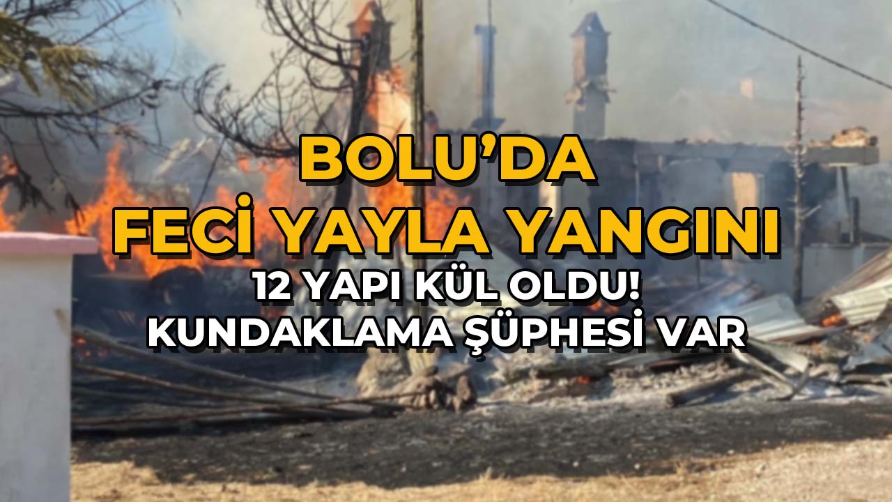 Bolu'da Yayla Yangını 12 Yapı Kül Oldu