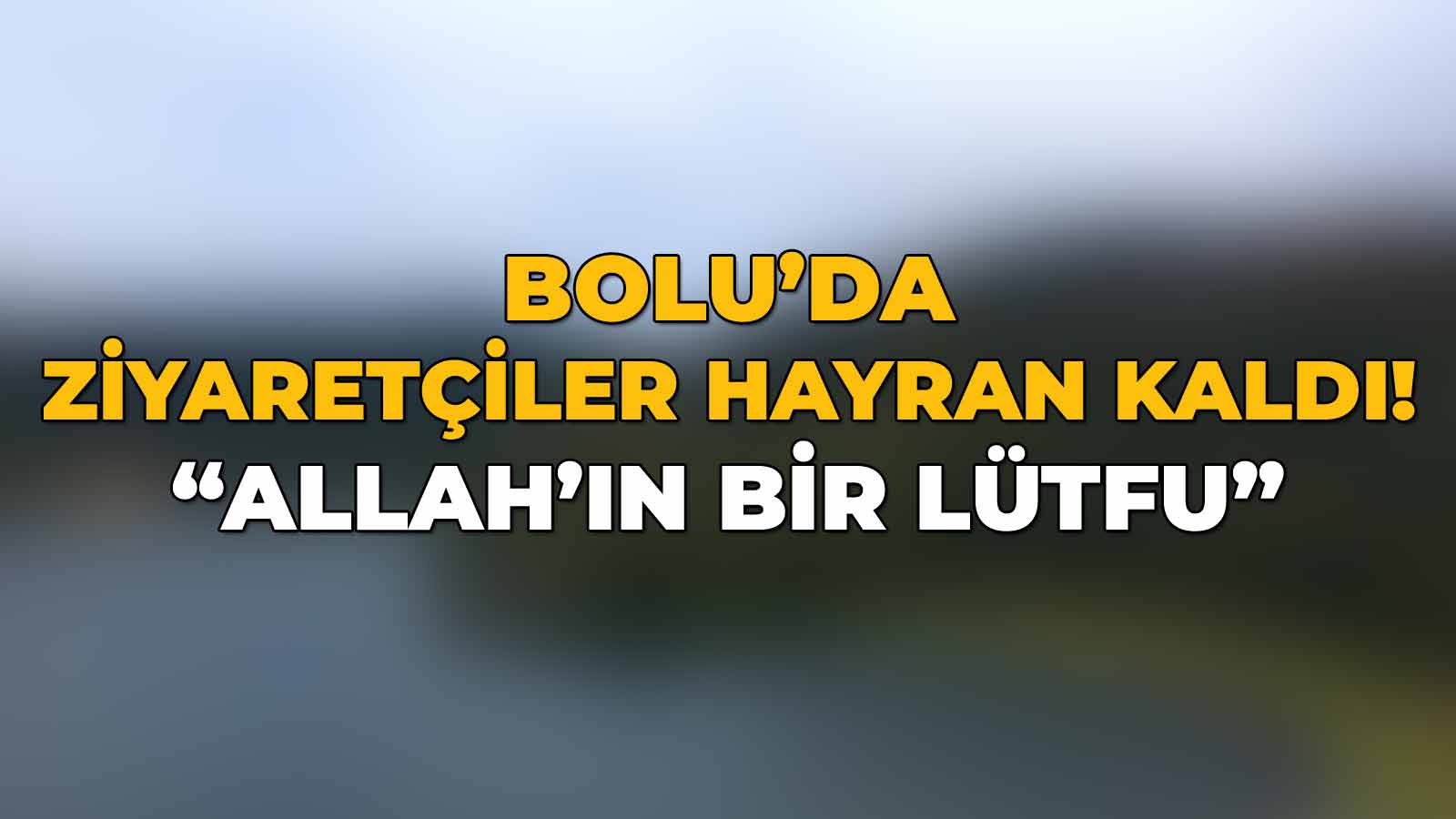 Bolu'da Ziyaretçiler Hayran Kaldı