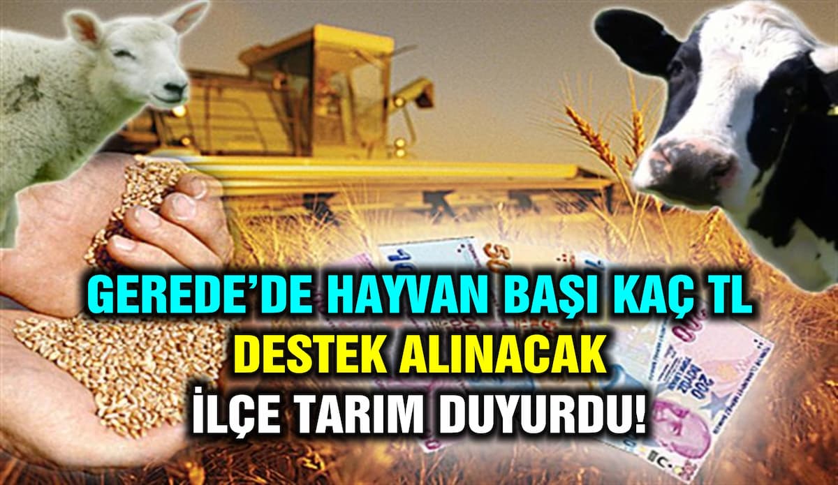 DEST.KOY