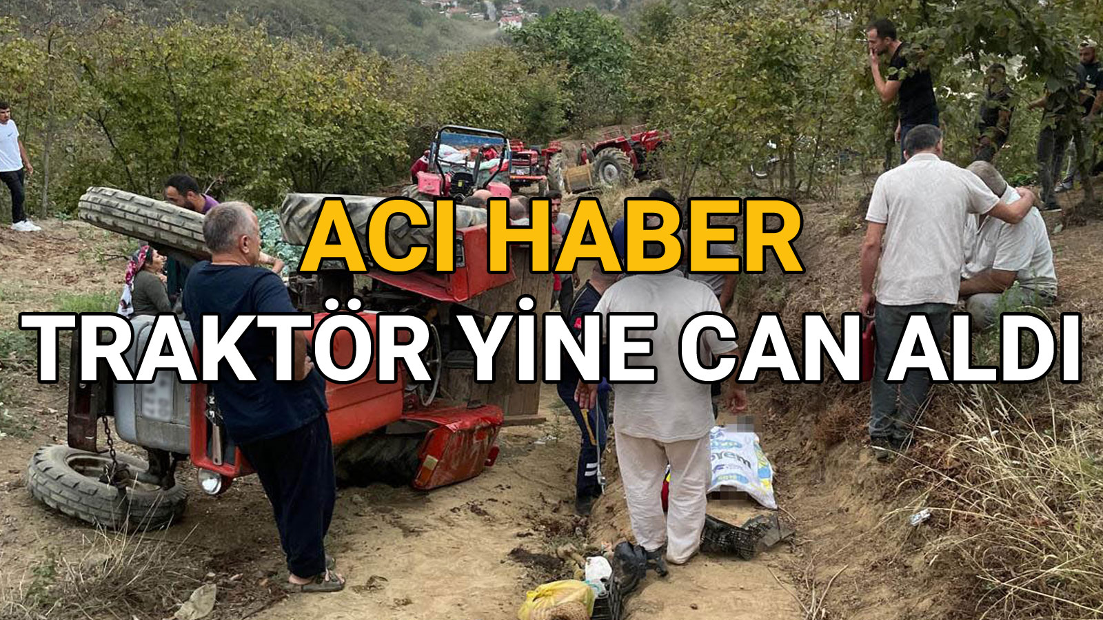Feci Kaza Traktör Devrildi, Sürücü Hayatını Kaybetti