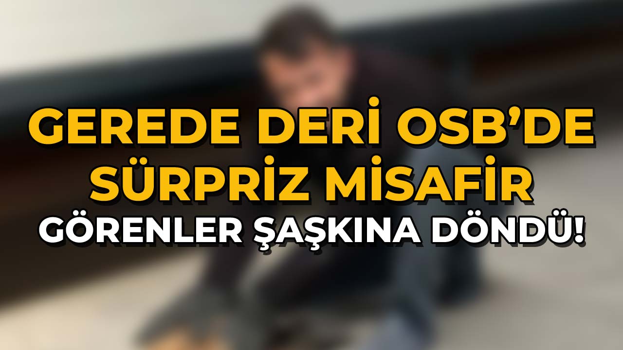 Gerede Deri OSB’de Sürpriz Misafir