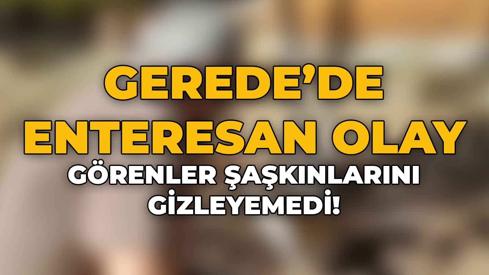 Gerede'de Enteresan Olay Görenler Şaşkınlıklarını Gizleyemedi!