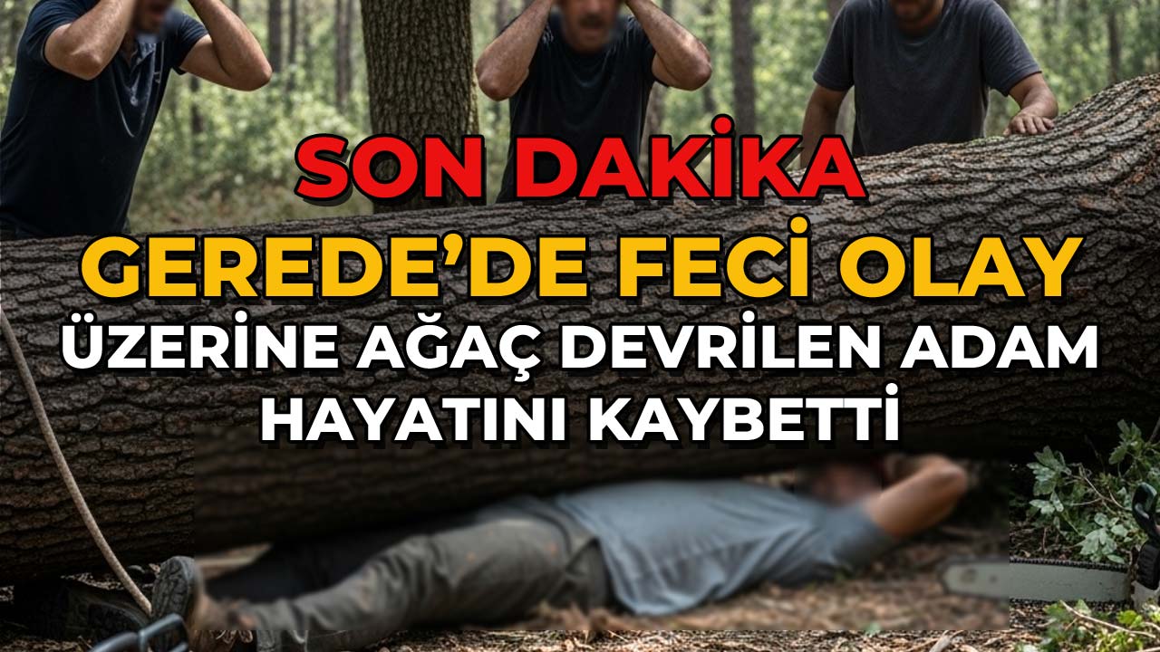 Gerede'de Feci Olay Üzerine Ağaç Devrilen Adam