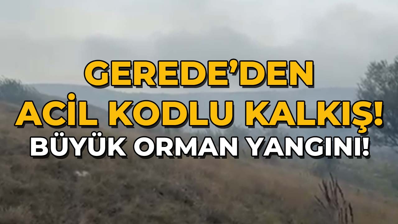 Gerede'den Acil Kodlu Kalkış343