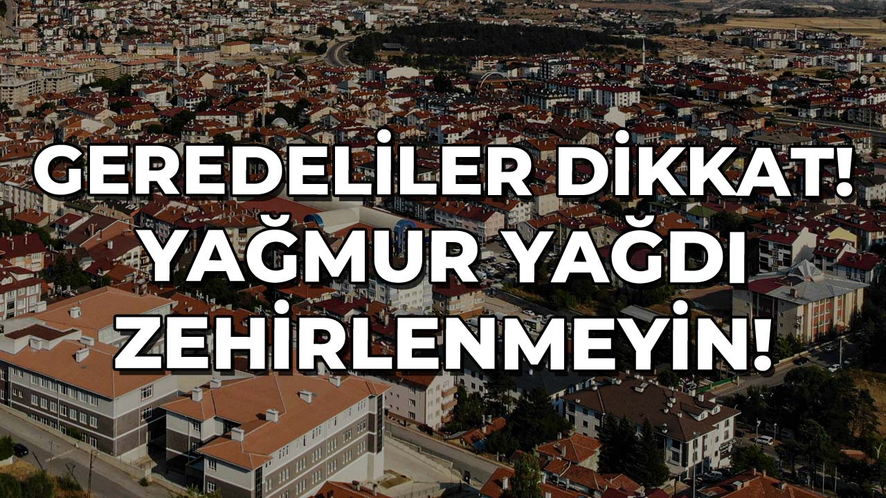 Geredeliler Dikkat! Yağmur Yağdı Zehirlenmeyin