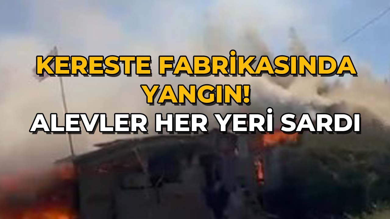 Kereste Fabrikasında Yangın! Alevler Her Yeri Sardı
