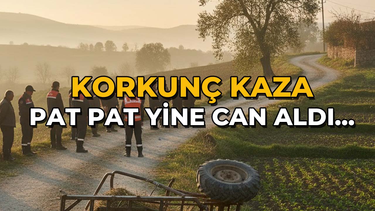 Pat Pat Yine Can Aldı