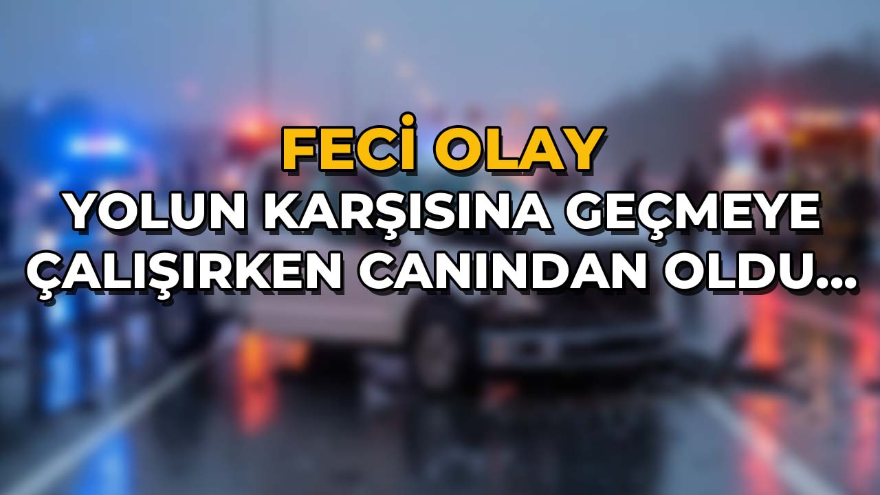 Yolun Karşısına Geçmeye Çalışırken Canından Oldu