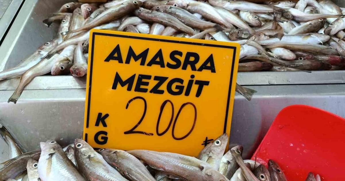 bartinda balik sezonu mezgit revacta palamut icin bekleyis basladi 5u81iMSU.jpg