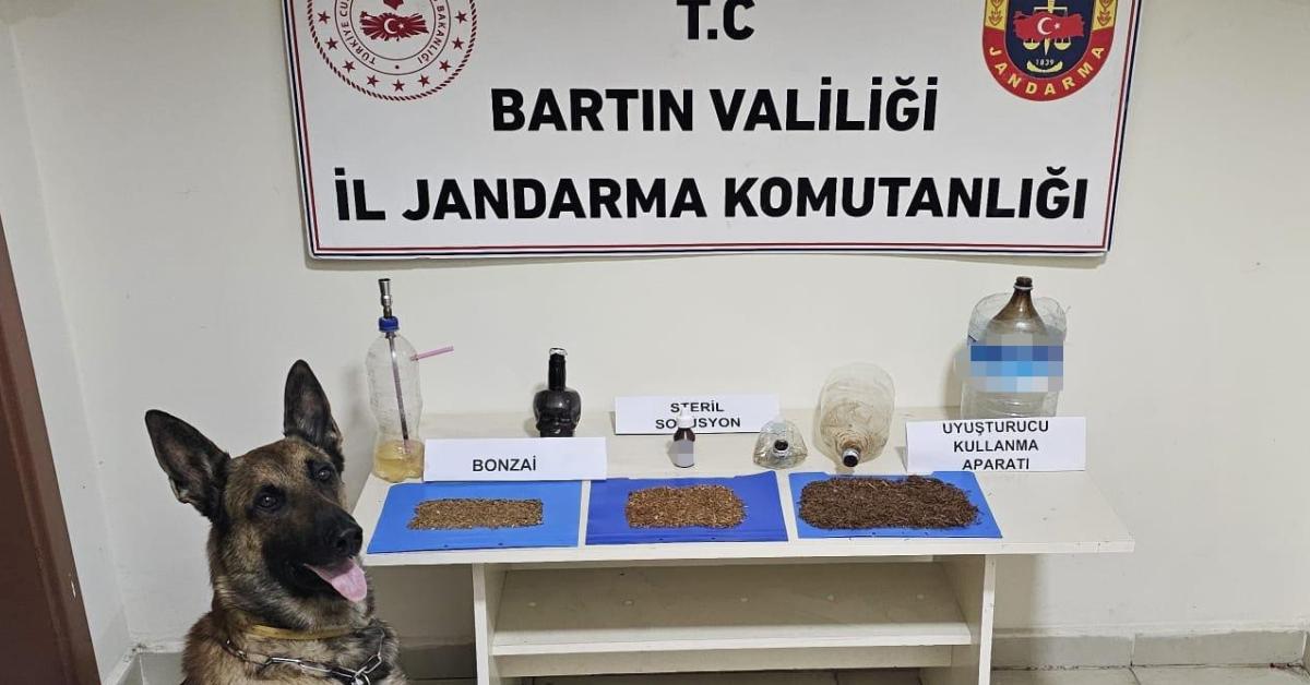 bartinda jandarma evde 57 gram bonzai ele gecirdi kRzOELa7.jpg