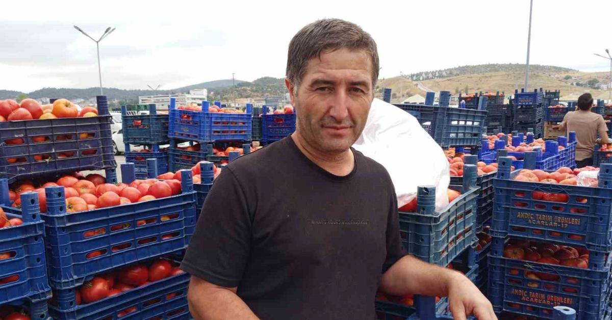 bilecikte kis hazirliklari icin salcalik domates aliminda yogun talep IWHhg2m5.jpg