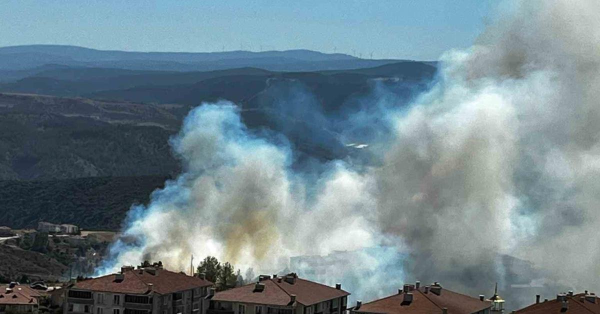 bilecikte salca atesinden cikan yanginda 30 donum alan kul oldu UCzKDCSp.jpg