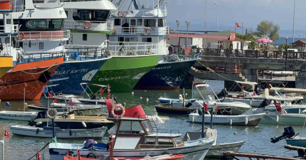 duzce akcakocada balikcilarin umutlari suyun sicakligiyla sonuyor ebOFWCxk.jpg